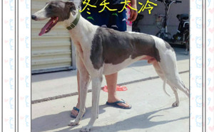 冬天太冷900250000192052.jpg