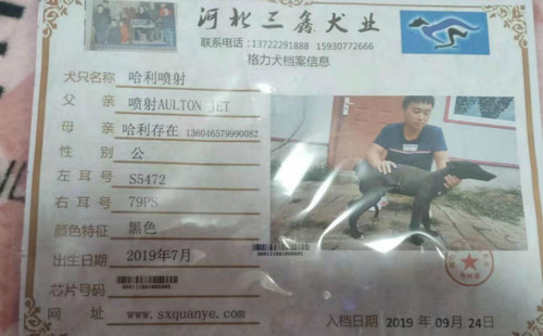 哈利喷射 S5472 79PS，90011181005805