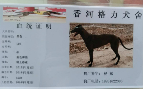 蓝色神话 LDB