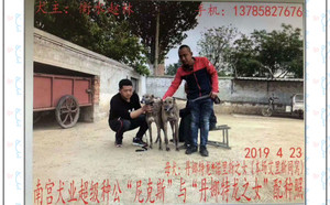 尼克斯X蝎子尾900115000929502.jpg