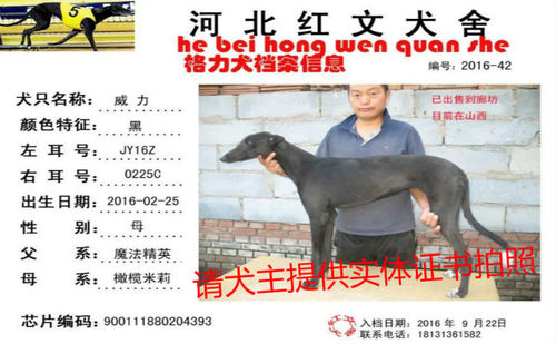 威力 JY16Z 0225C，900111880204393