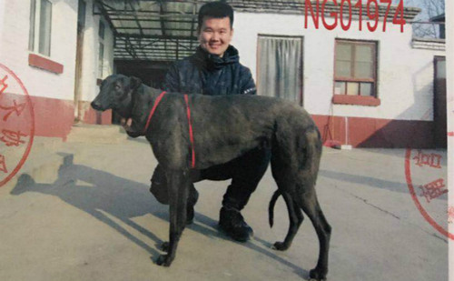 贝贝40号 NGXH 815M13，900115000031545