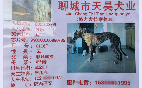 可乐 990000006890785