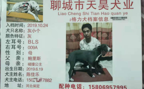 灰小个 900155000037361，BLS009A