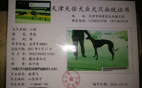 小怪 DBHK4，900250000274503