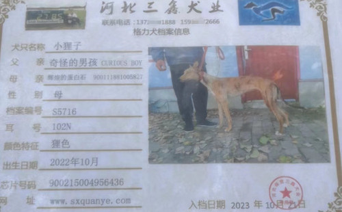 小狸子 900215004956436，S5716102N