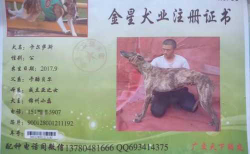 卡尔萨斯 900128001211192