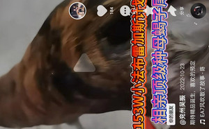 计划X蝎子尾 900115000929502.jpg