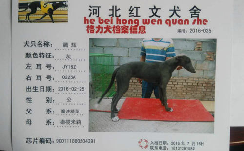 腾辉 JY16Z 0225A，900111880204391