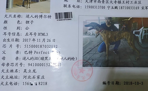 迷人的博尔特 BTML3，515000187032892