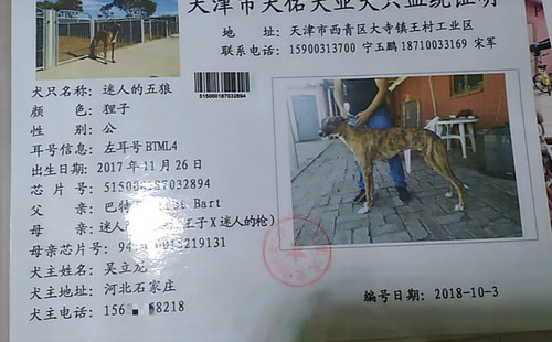 迷人的五狼 BTML4，515000187032894