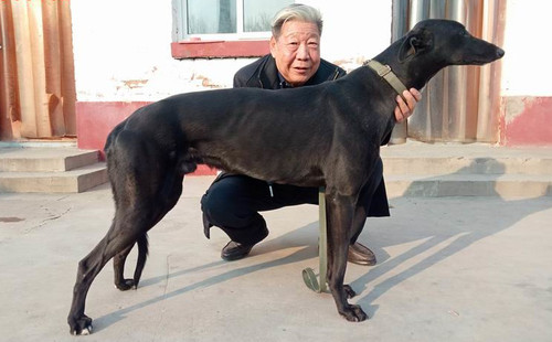 飞翔豹 900115000989717，NGXH1118BA