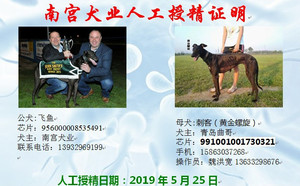 飞鱼X刺客 991001001730321.jpg