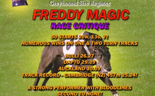 魔法 Freddy Magic