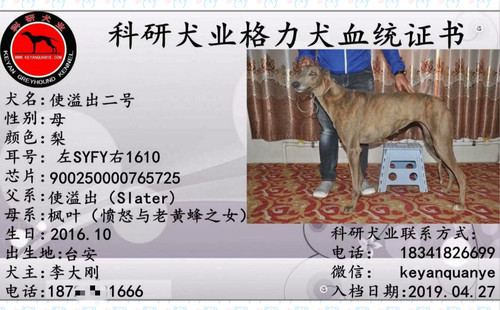 使溢出二号 900250000765725，SYFY1610
