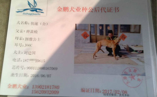 快速 J66C，900111880167069