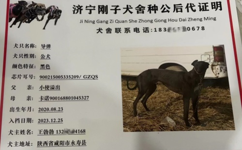 导弹 900215005335209，GZQS