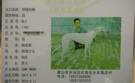 辉煌白鲍  900115000025522，BLS1709