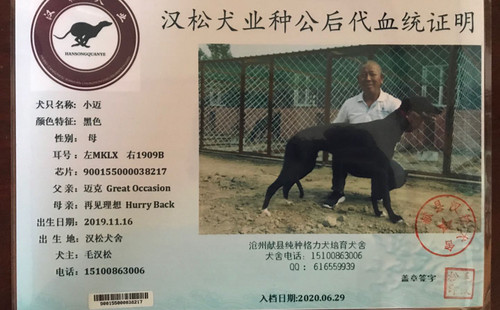 小迈 900155000038217，MKLX1909B