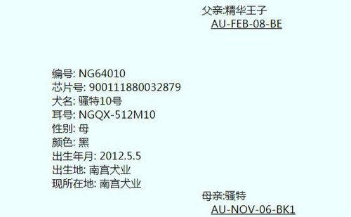 骚特10号 NGQX 512M，900111880032879
