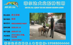 欧宝诺丽X独苗 DBF21，900250000274607.jpg