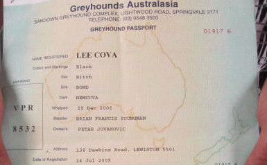 李科娃 Lee cova，VPR 8532