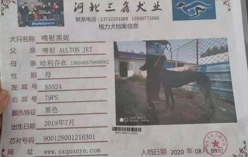 喷射黑妮 S5524 79PS，900128001216301