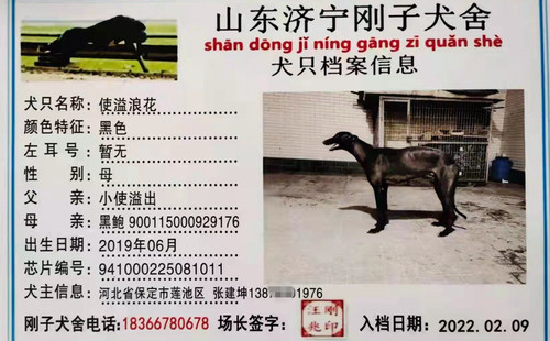 使溢浪花 941000225081011