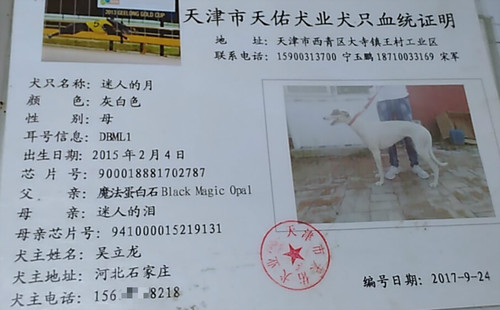 迷人的月 DBML1，900018881702787