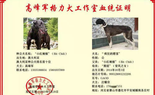 疯狂的嫖客 900128001212208，GAOD