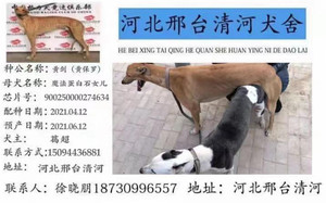 黄剑X花浪 900250000274634，TDB22.jpg