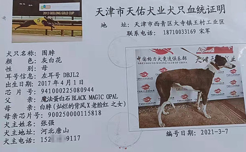围脖 DBJL2，941000225080944