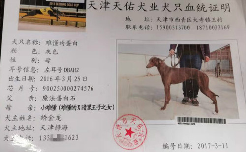 难懂的蛋白 DBAH2，900250000274576