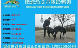 欧宝怪力X独苗 DBF21，900250000274607.jpg