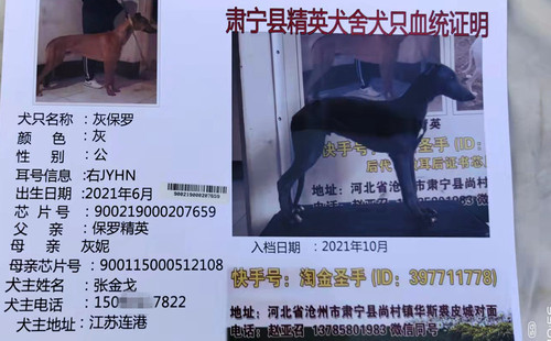 灰保罗 900219000207659，JYHN