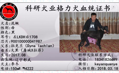 泥鳅 900100000041987，LKDH1708