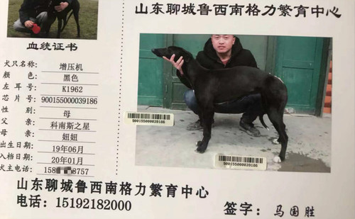 增压机 900155000039186，K1962
