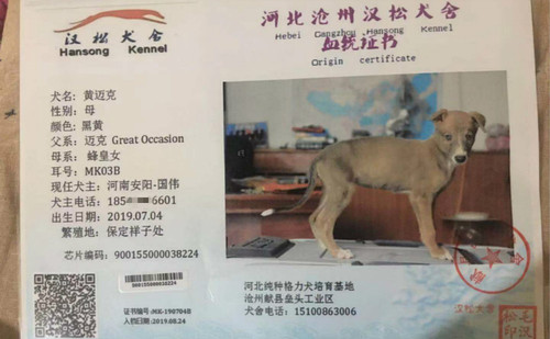 黄迈克 900155000038224