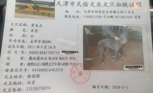 青龙石 DBAN6，900018881702774
