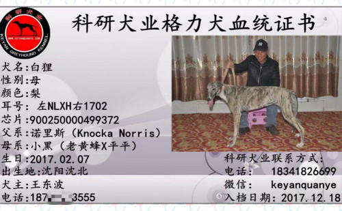 白狸 900250000499372，NLXH1702