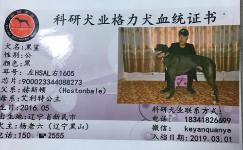 黑鲨 900023344088273，HSAL1605