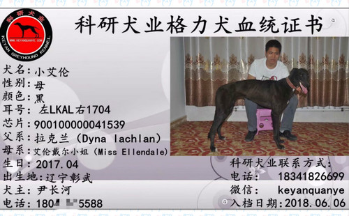 小艾伦 900100000041539，LKAL1704