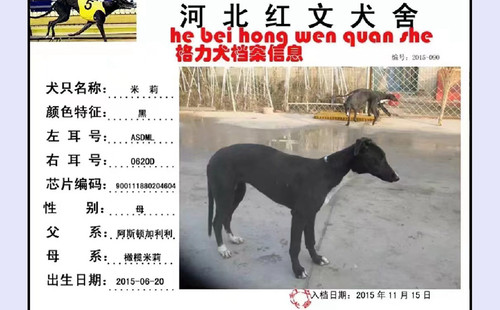 米莉 900111880204604，ASDML0620D