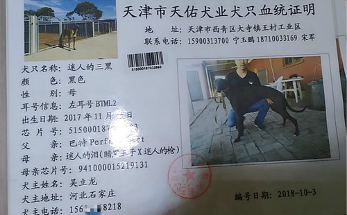 迷人的三黑 BTML2，515000187032893