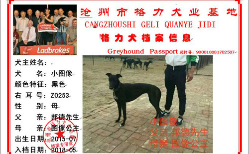 小图像 Z0253，900018881702587