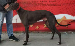 非常幻觉991001002372518.jpg