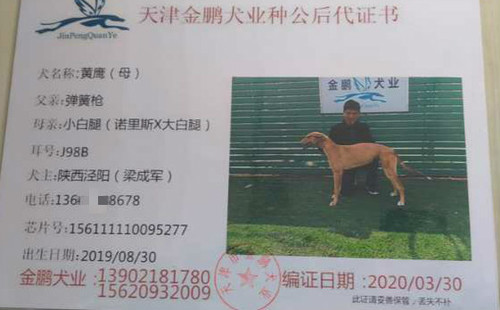 黄鹰 156111110095277，J98B
