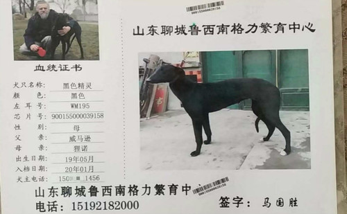 黑色精灵 900155000039158，WM195