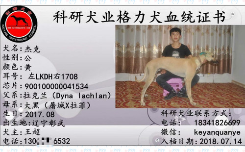 杰克 900100000041534，LKDH1708