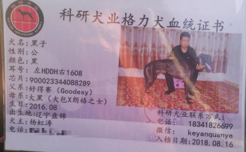 黑子 900023344088289，HDDH1608
